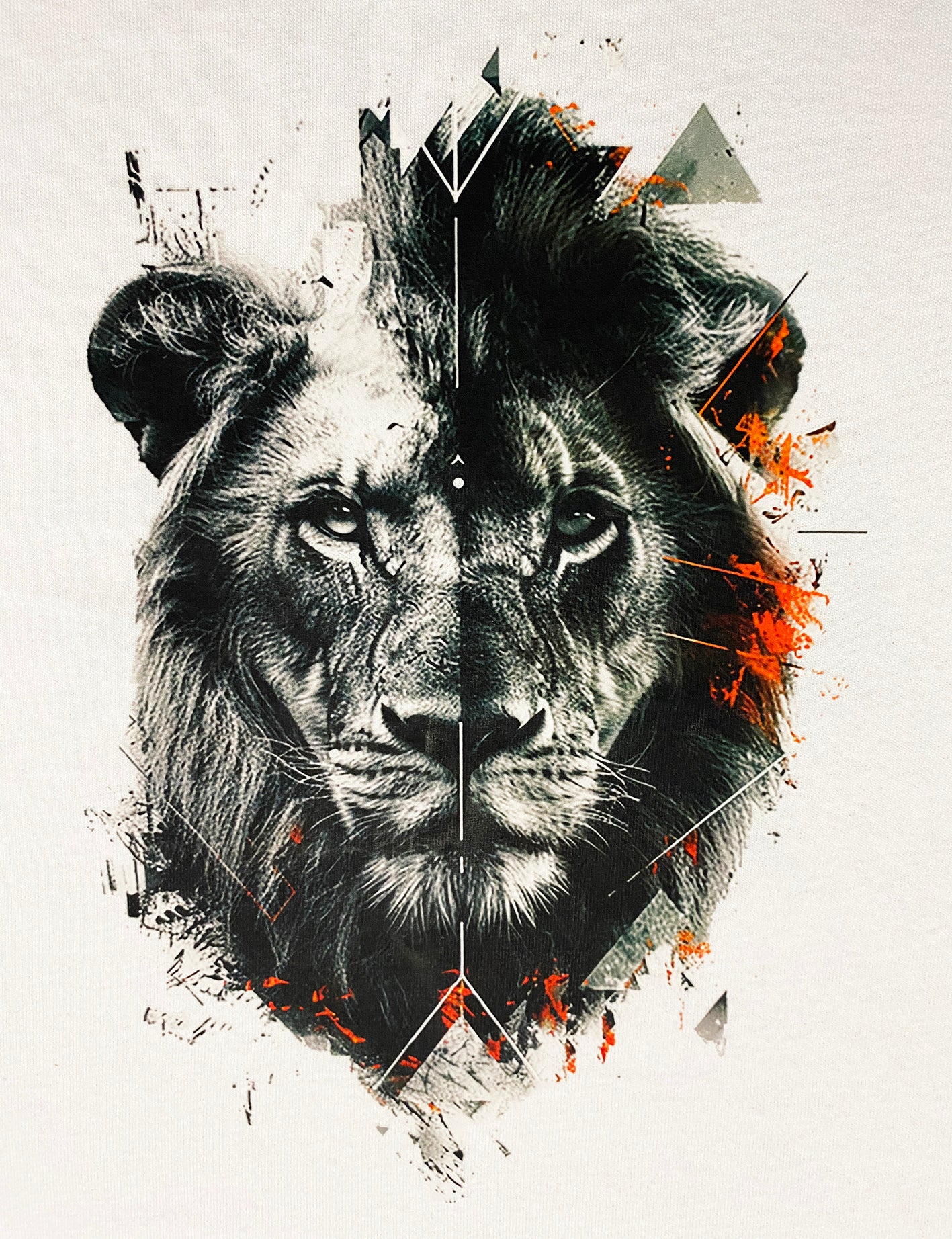 Lion.jpg